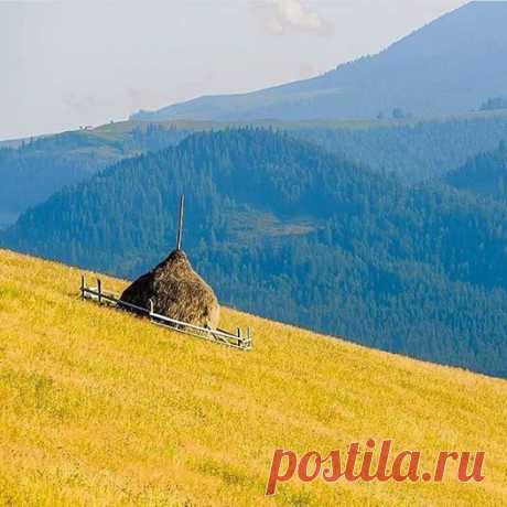 Stubble by the mountains - beautifully unforgettable!-Жнива у горах - красиво й незабутньо!
