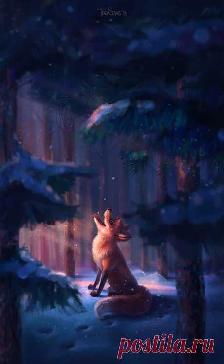 Fox on Behance