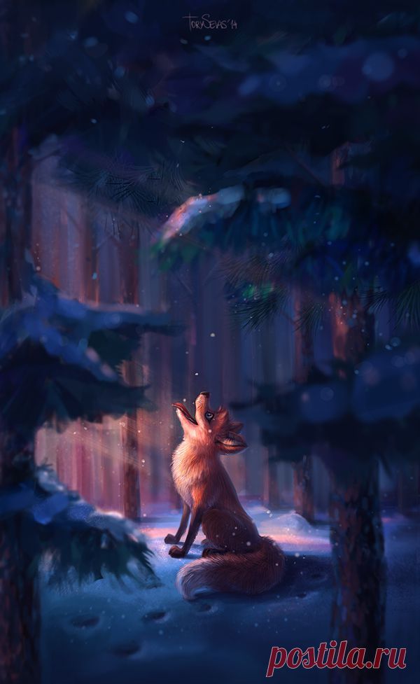 Fox on Behance