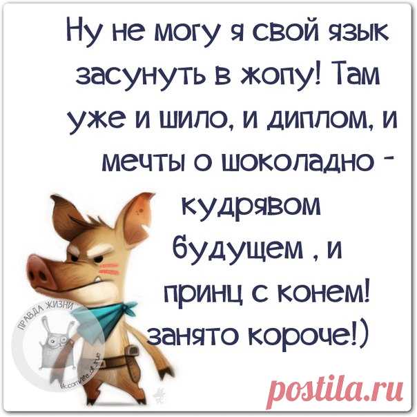 Новости