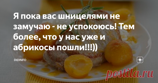Я пока вас шницелями не замучаю - не успокоюсь! Тем более, что у нас уже и абрикосы пошли!!!)) Други, кто давно меня читает, кто привык доверять рецептам, уже знает, как далеко мы с вами продвинулись в области приучения наших мужчин к удивительному сочетанию мяса и фруктов. Моей первой любовью в этом плане были 