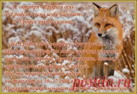 Считалось, что 17 октября можно заблудиться из-за нечистой силы. Открытки на Ерофеев день.