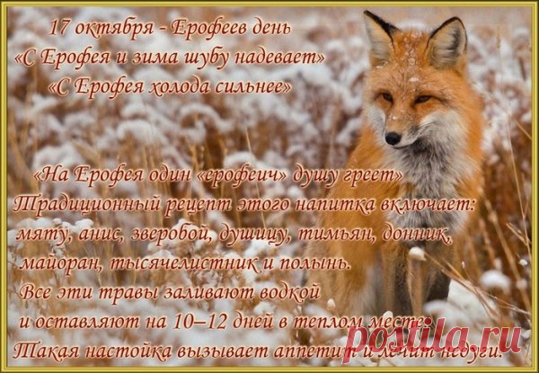 Считалось, что 17 октября можно заблудиться из-за нечистой силы. Открытки на Ерофеев день.