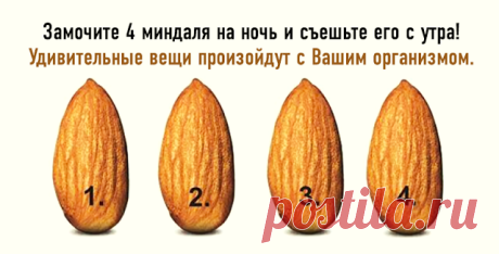 Замочите 4 миндаля на ночь и съешьте после пробуждения! Кое-что невероятное случится с Вашим телом. ~ Шкатулка рецептов