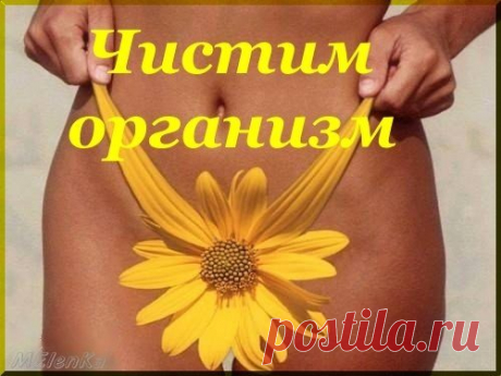 Очищение организма в домашних условиях, рецепт - ферменты каштана |Народная медицина