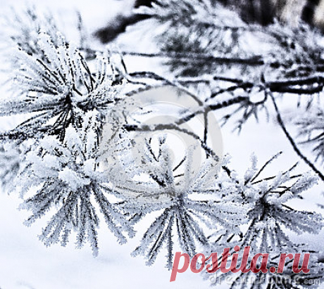 Stock Photos, Royalty-Free Images & Video Footage By Dreamstime Stock Photography