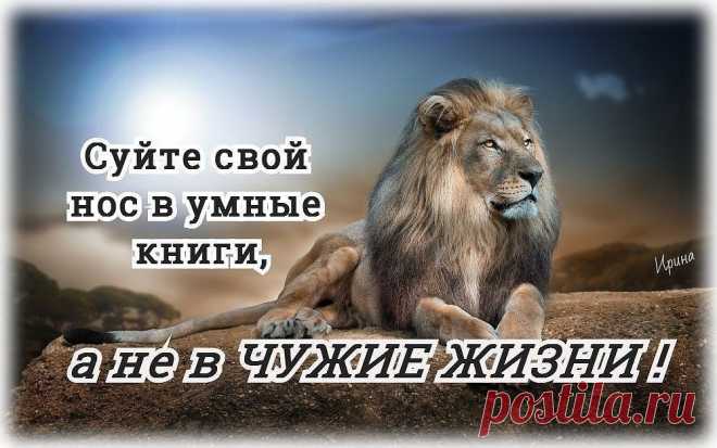 Владимир