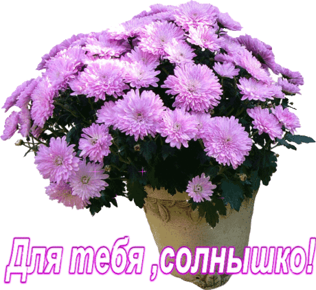 СПАСИБО за красивое поздравление! &lt;a href=&quot;https://www.liveinternet.ru/users/3953262/profile/&quot;&gt;Копушка&lt;/a&gt;.