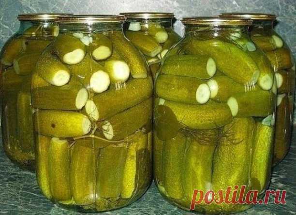 ОГУРЦЫ 