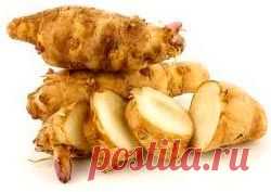 Топинамбур: польза