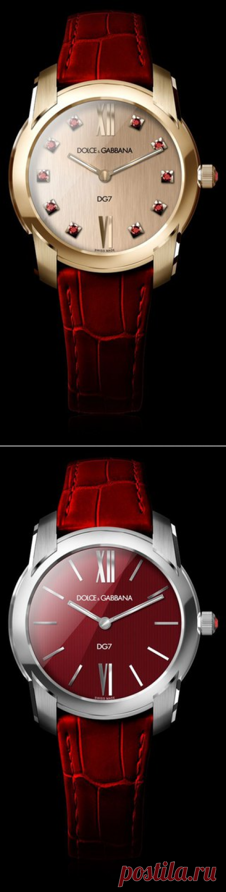 Dolce & Gabbana Womens Watch - Steel with Bordeaux Dial - DG Watches