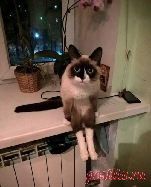 - Что сидим? Что думаем?
- Телефон сдох. На зарядке. Жду....