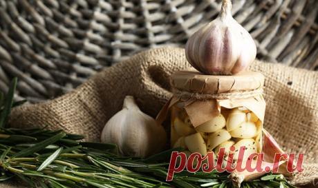 Ферментация чеснока | Эффективное похудение. Все виды диет Ферментация чеснока