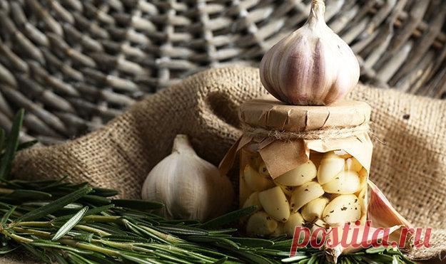 Ферментация чеснока | Эффективное похудение. Все виды диет Ферментация чеснока