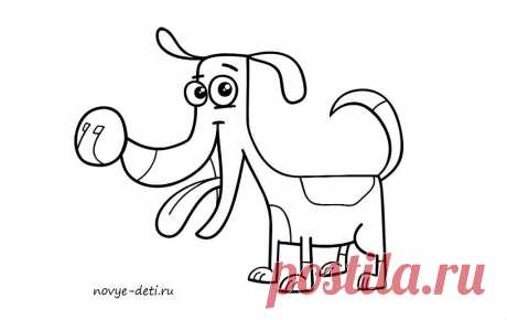 Как нарисовать собаку поэтапно. Уроки рисования для детей и взрослых.