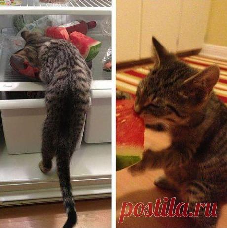 не хватка витаминов.