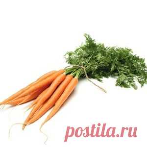 БЕССОННИЦУ ВЫЛЕЧИТ МОРКОВНАЯ БОТВА