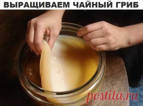 (24) Одноклассники