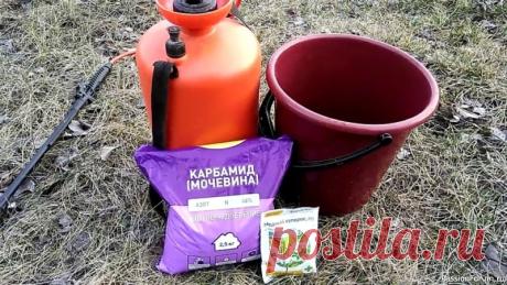 Дачников. Осенняя обработка сада
