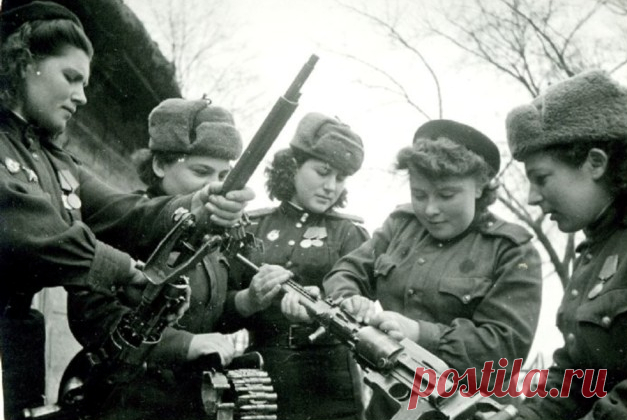 Среди героев Великой Отечественной числятся не только мужчины. Немалый вклад в общее дело Победы внесли и прекрасные защитницы Родины - девушки, наравне с мужчинами сражавшиеся в небе и на земле.