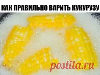 Оказывается, я всегда варила кукурузу не правильно! Это гениально!
Початки, обязательно, разламываем пополам.Бросаем половинки початков в кастрюлю и заливаем водой.Как только вода закипит, добавьте в кастрюлю 1 чашку молока и 1 приличный кусочек масла.Кукуруза должна покипеть еще 8 минут. И все готово! Готовые початки посыпьте солью. Кукуруза получается маслянистого вкуса и очень вкусной.