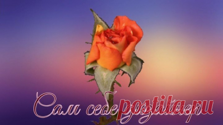 САМ СЕБЕ ДИЗАЙНЕР. Выпуск 2