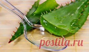 Как восстановить зрение с помощью алоэ?