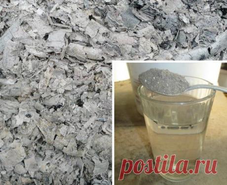 4 беспроигрышных способа применения древесной золы на даче