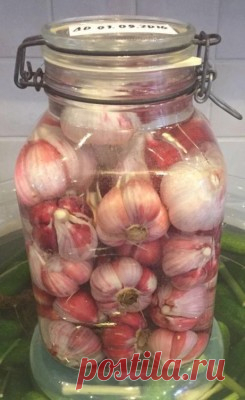Моченый чеснок как рыночный : Разное