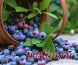 Эксперты назвали пять доступных суперпродуктов для здоровья и молодости