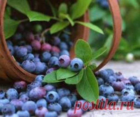 Эксперты назвали пять доступных суперпродуктов для здоровья и молодости