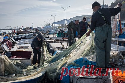 Турецкие рыбаки нашли в сетях морскую мину. В Турции рыбаки обнаружили застрявшую в сетях морскую мину. Инцидент произошел 5 января в районе черноморского порта Эрегли. Рыбаки оповестили о некоем подозрительном объекте береговую охрану. После этого движение судов в районе было приостановлено, а турецкий порт закрыт.