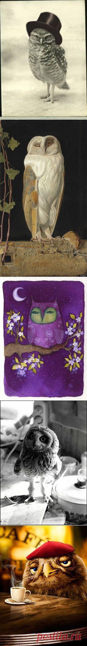 В сосне - дупло. В дупле - тепло. В тепле - сова. В сове - слова. Одно - УГУ! Второе - УХ! Ещё в дупле - Трава и пух. / Картинки для декупажа / PassionForum - мастер-классы по рукоделию
