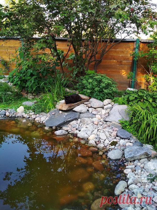 Пруд и водопад с инструкцией для повторения