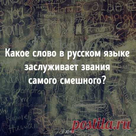 Как вы считаете?: