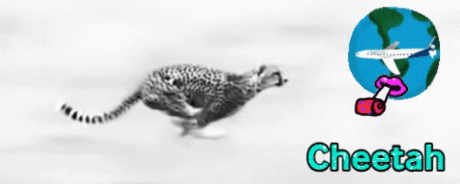 мои «GIF»
