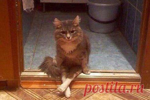 Встала в 3 часа ночи и увидела такое...