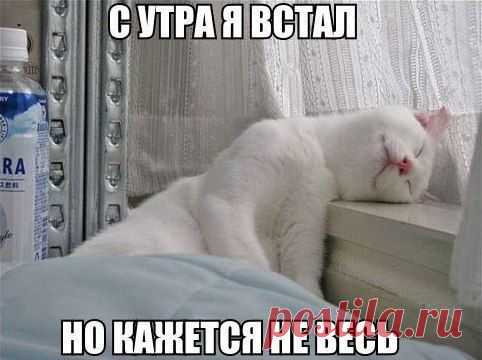 Интересные новости