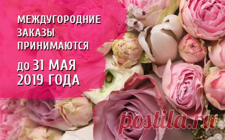 Дешевые САЖЕНЦЫ РОЗ | цена оптом в Новосибирске | купить в интернет магазине с доставкой почтой - sib-roses.ru