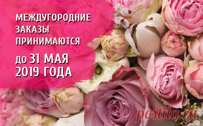 Дешевые САЖЕНЦЫ РОЗ | цена оптом в Новосибирске | купить в интернет магазине с доставкой почтой - sib-roses.ru