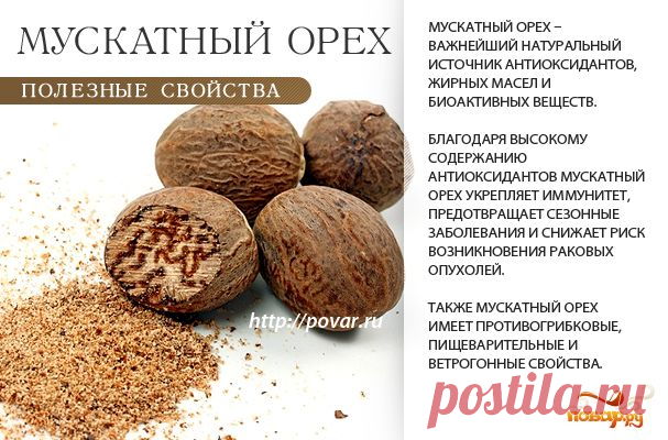 Мускатный орех - полезные свойства