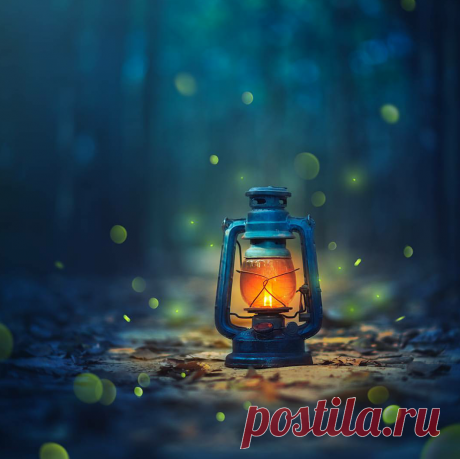 Доброй, доброй ночи!