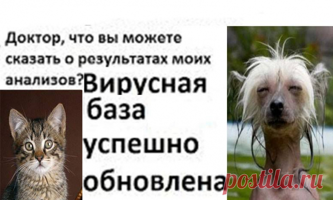 (5) Отец Дмитрий Врач Гомеопат