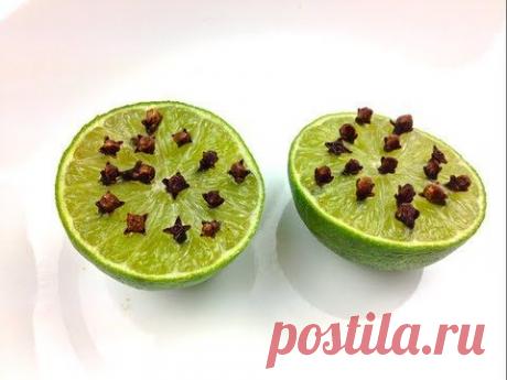 Натуральный противомоскитное средство / Видеохит - лучшее видео интернета