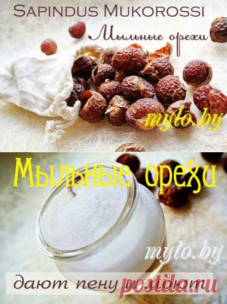 Мыльные орехи - 100% натуральное мыло и средство для стирки - МЫЛО БАЙ | Интернет-магазин сырья для мыла, косметики и ароматерапии