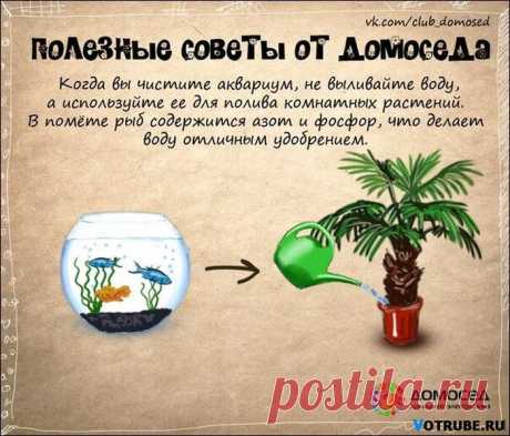 Советы от Домоседа. Просто и полезно! | ЖЕНСКИЙ МИР