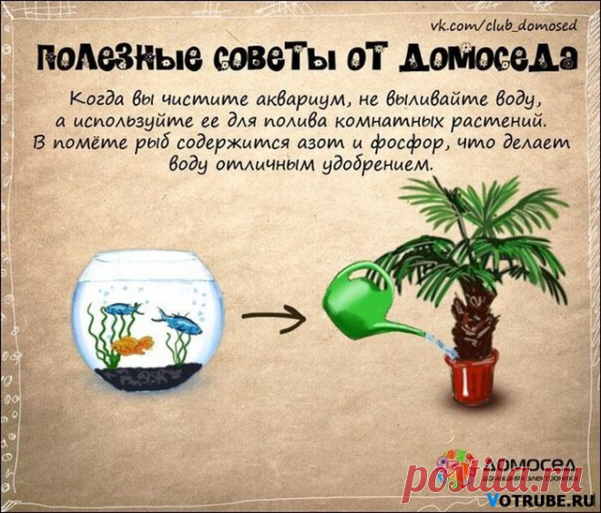 Советы от Домоседа. Просто и полезно! | ЖЕНСКИЙ МИР