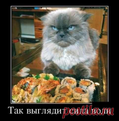 Серьезный  очень уж!