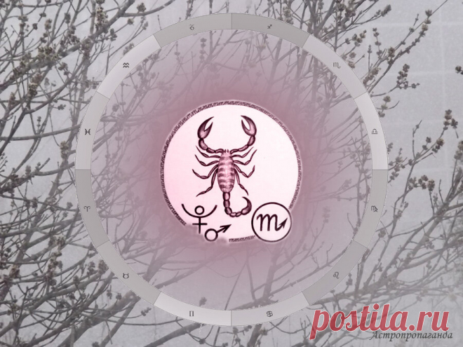 Гороскоп для Скорпиона с 7 марта по 3 апреля 2022 | Нина Стрелкова. Астропропаганда | Яндекс Дзен
♏✨ Автор: астролог Нина Стрелкова. ✧ Марс, в соединении с Венерой в Водолее может сделать более эмоциональной вашу семейную жизнь и побудить вас к активности в домашних делах. Солнце в соединении с Нептуном создает романтическое или творческое настроение, пробуждает способности к восприятию тонких энергий и скрытой информации. Дружественный аспект Солнца и Плутона способствует...
