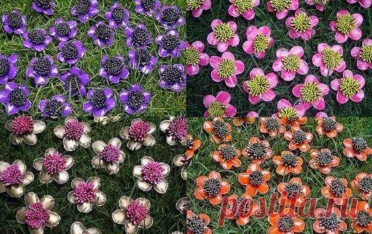 Поделки для сада: клумбы из пластиковых бутылок - Нарядные клумбы из пластиковых бутылок